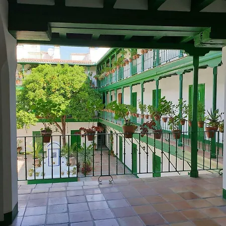 Setas Apartamento *