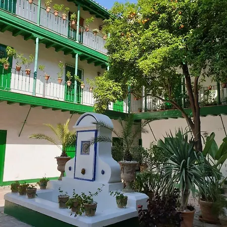Setas Apartamento Sevilla