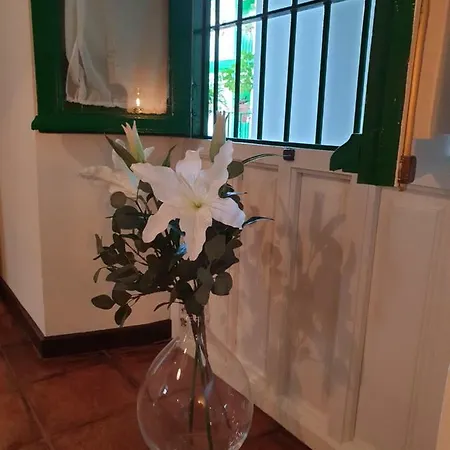 Setas Apartamento