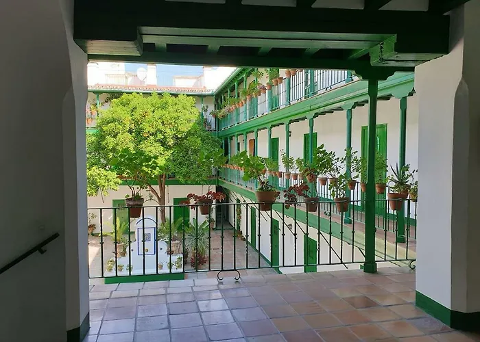 Setas Apartmán *