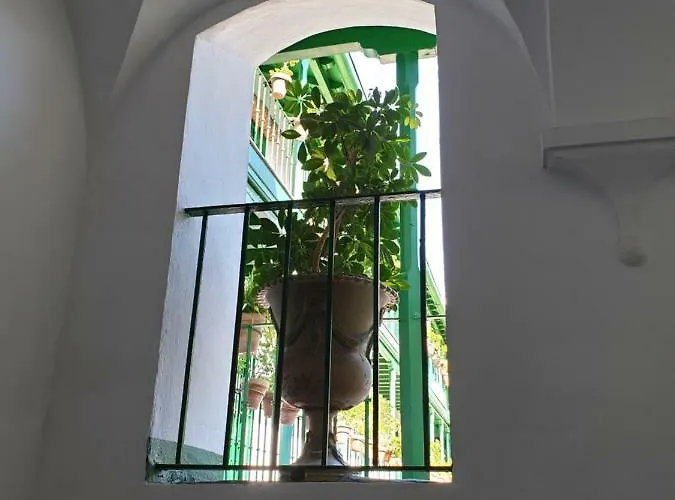 Apartmán Setas
