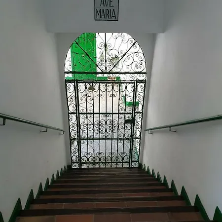 Setas Apartmán *