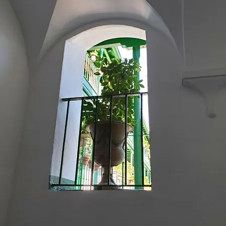 Apartmán Setas