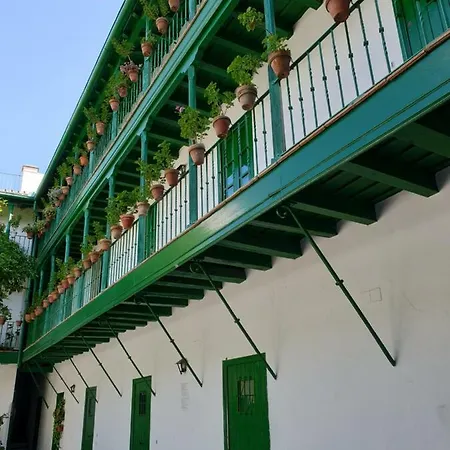 Setas Apartmán